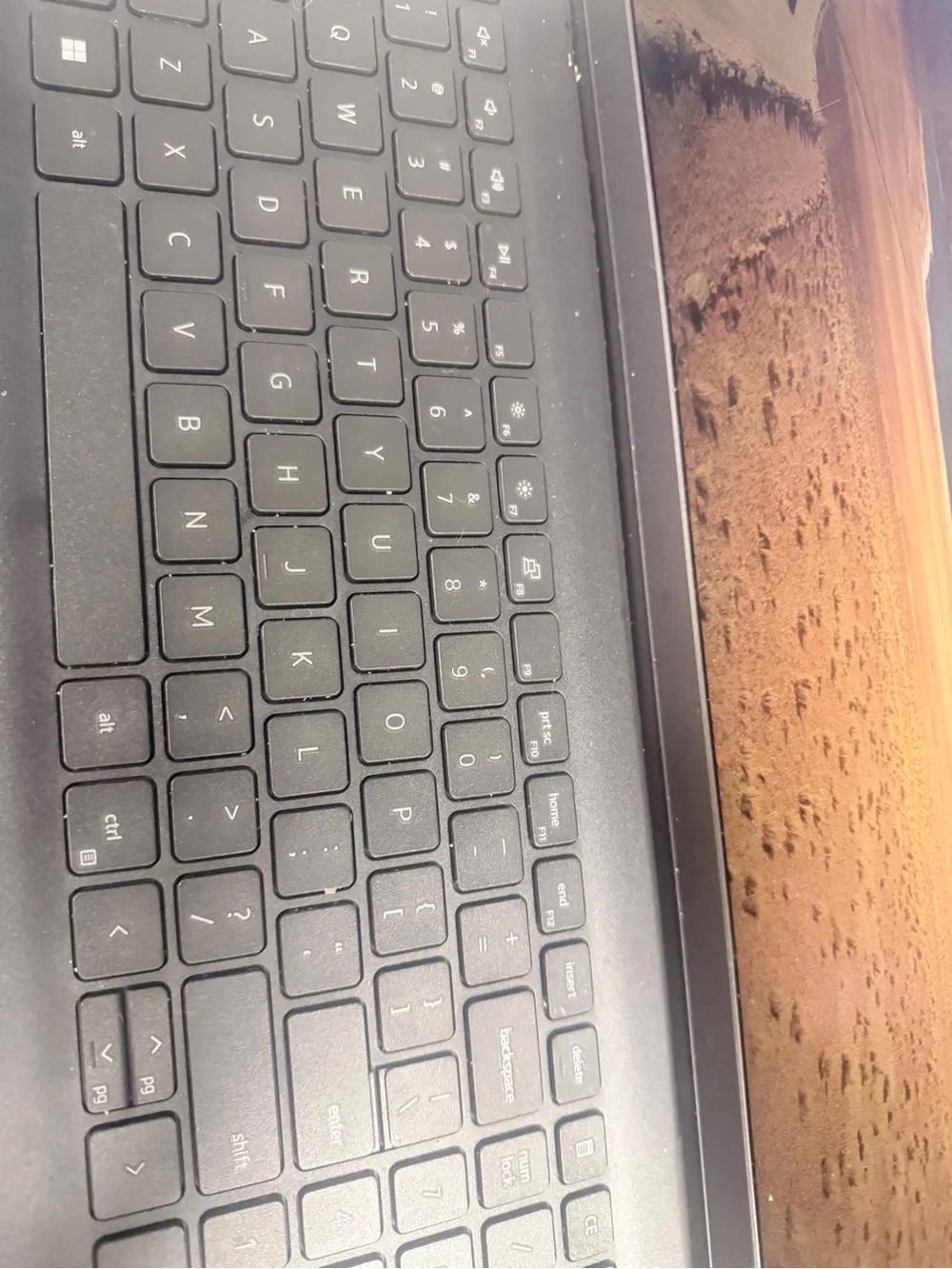 Dell Matte Gray Laptop Top - Professional Notebook-barely used